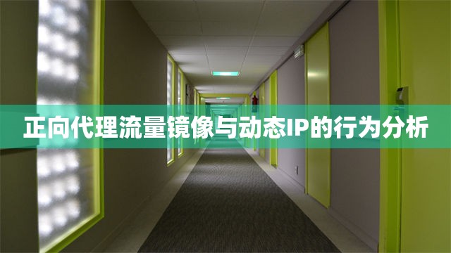 正向代理流量镜像与动态IP的行为分析