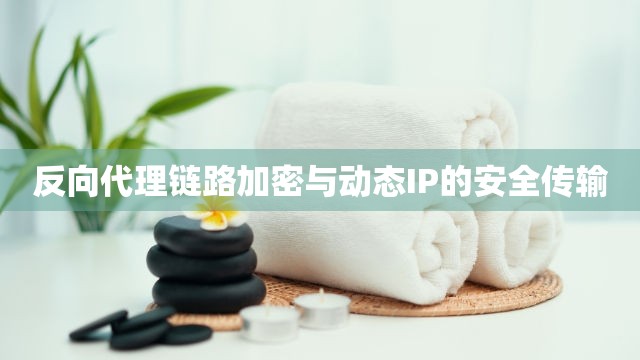 反向代理链路加密与动态IP的安全传输