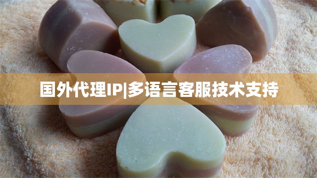 国外代理IP|多语言客服技术支持