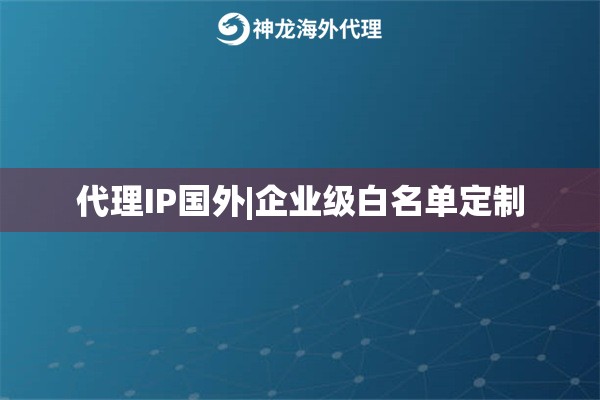 代理IP国外|企业级白名单定制