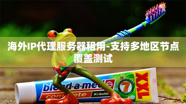 海外IP代理服务器租用-支持多地区节点覆盖测试