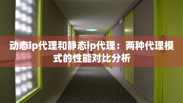 动态ip代理和静态ip代理：两种代理模式的性能对比分析