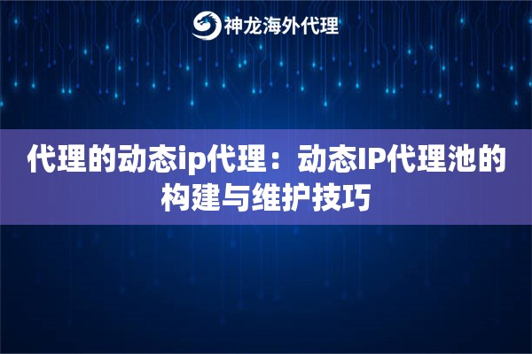 代理的动态ip代理：动态IP代理池的构建与维护技巧