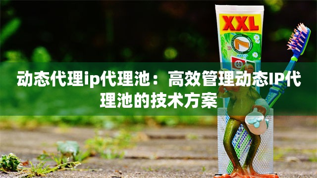 动态代理ip代理池：高效管理动态IP代理池的技术方案