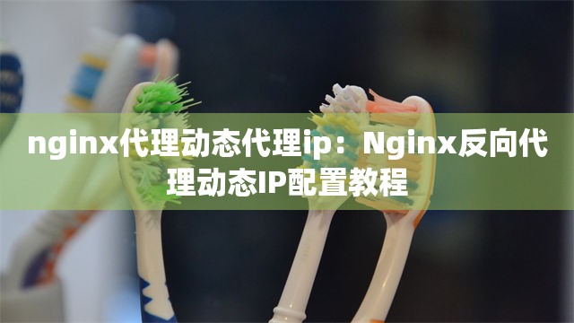 nginx代理动态代理ip：Nginx反向代理动态IP配置教程