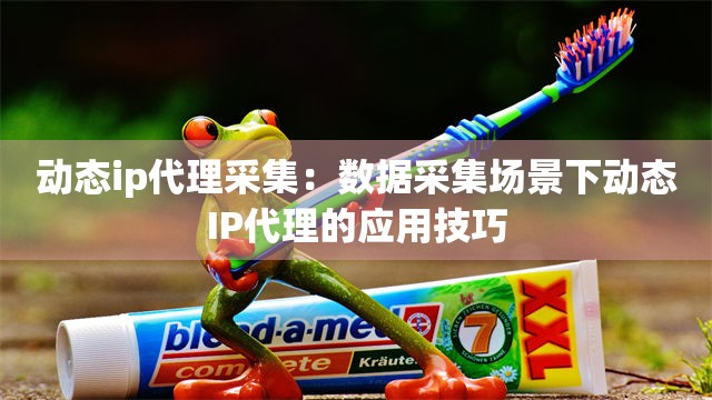 动态ip代理采集：数据采集场景下动态IP代理的应用技巧