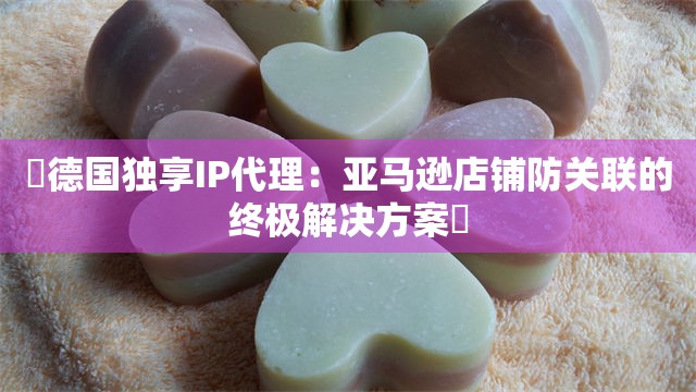 ‌德国独享IP代理：亚马逊店铺防关联的终极解决方案‌