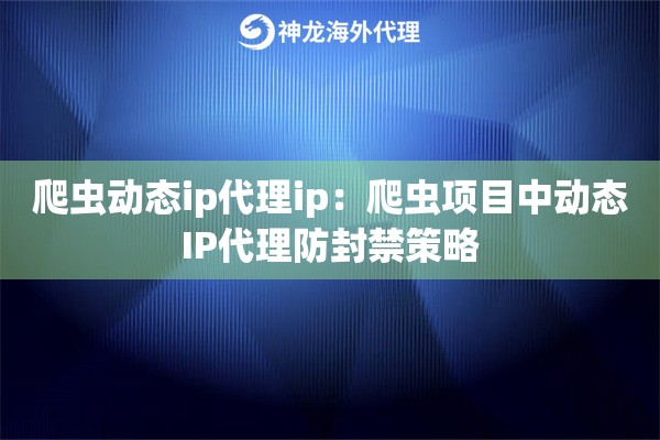 爬虫动态ip代理ip：爬虫项目中动态IP代理防封禁策略