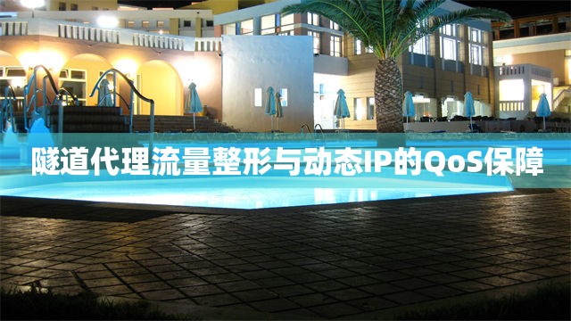 隧道代理流量整形与动态IP的QoS保障