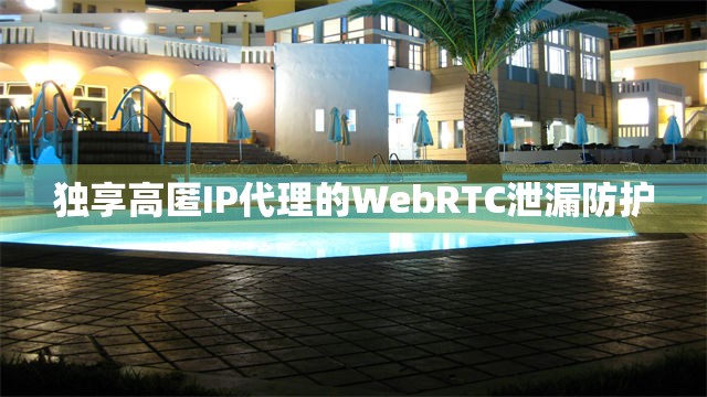 独享高匿IP代理的WebRTC泄漏防护