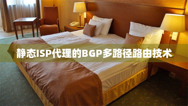 静态ISP代理的BGP多路径路由技术