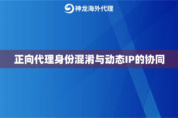 正向代理身份混淆与动态IP的协同