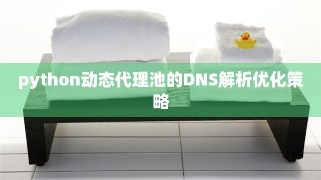 python动态代理池的DNS解析优化策略
