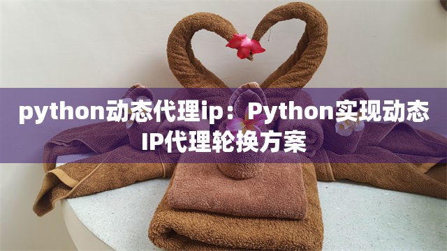 python动态代理ip：Python实现动态IP代理轮换方案