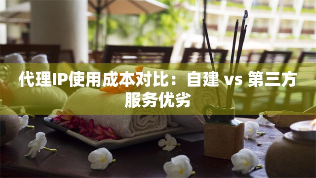 代理IP使用成本对比：自建 vs 第三方服务优劣