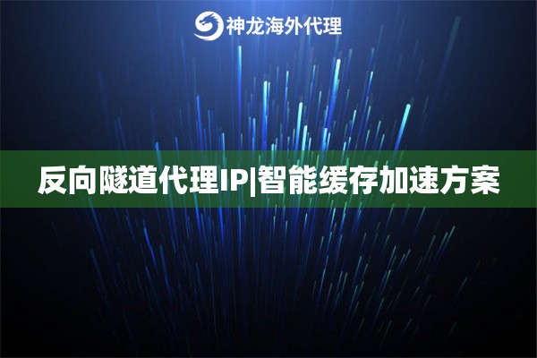 反向隧道代理IP|智能缓存加速方案