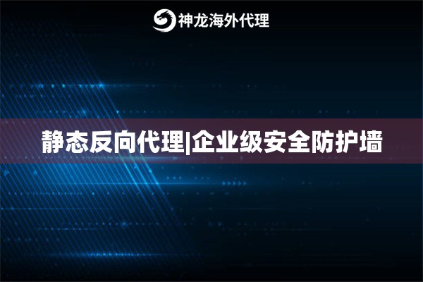 静态反向代理|企业级安全防护墙
