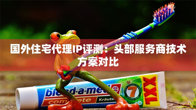 国外住宅代理IP评测：头部服务商技术方案对比