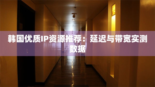 韩国优质IP资源推荐：延迟与带宽实测数据