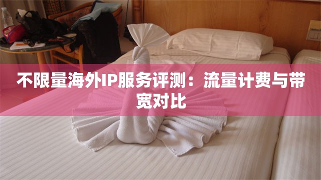 不限量海外IP服务评测：流量计费与带宽对比