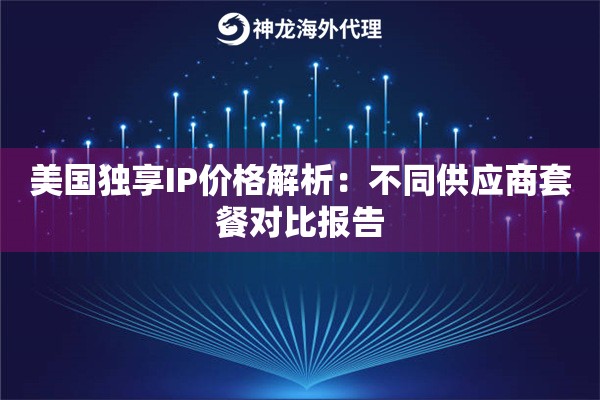 美国独享IP价格解析：不同供应商套餐对比报告