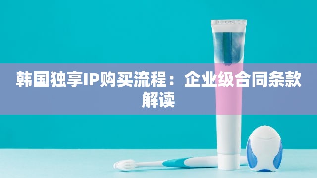 韩国独享IP购买流程：企业级合同条款解读