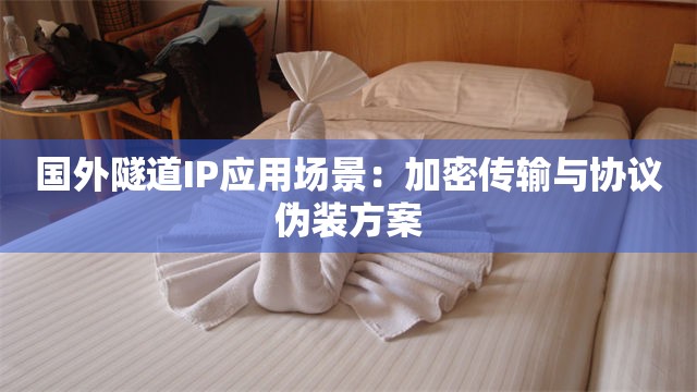 国外隧道IP应用场景：加密传输与协议伪装方案