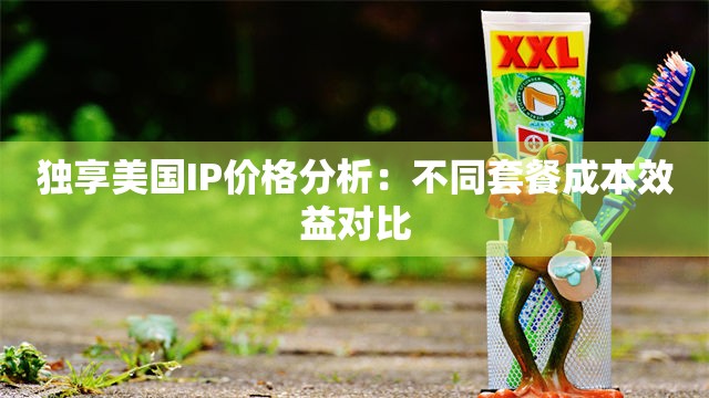 独享美国IP价格分析：不同套餐成本效益对比