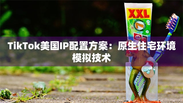 TikTok美国IP配置方案：原生住宅环境模拟技术