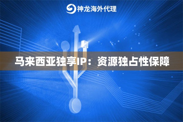马来西亚独享IP：资源独占性保障