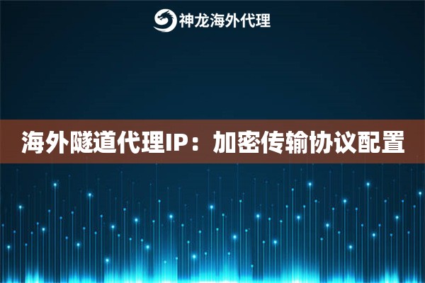 海外隧道代理IP：加密传输协议配置