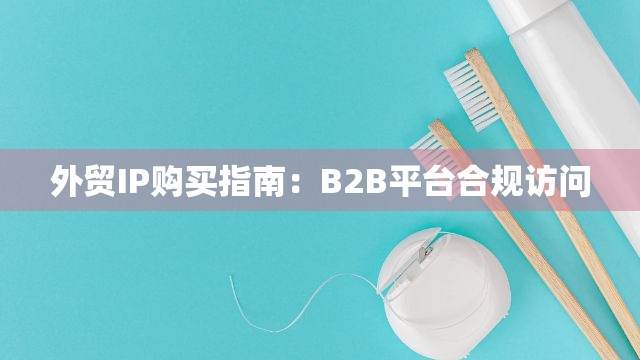 外贸IP购买指南：B2B平台合规访问