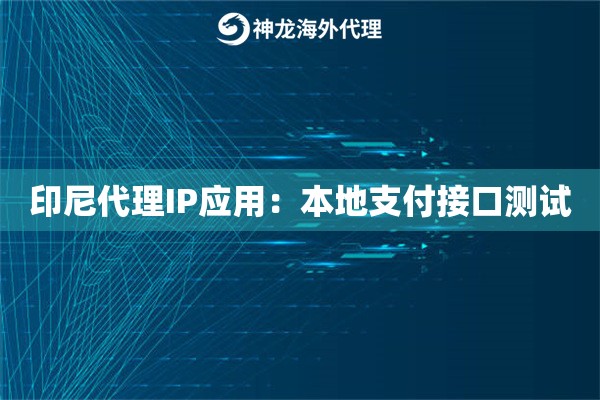 印尼代理IP应用：本地支付接口测试
