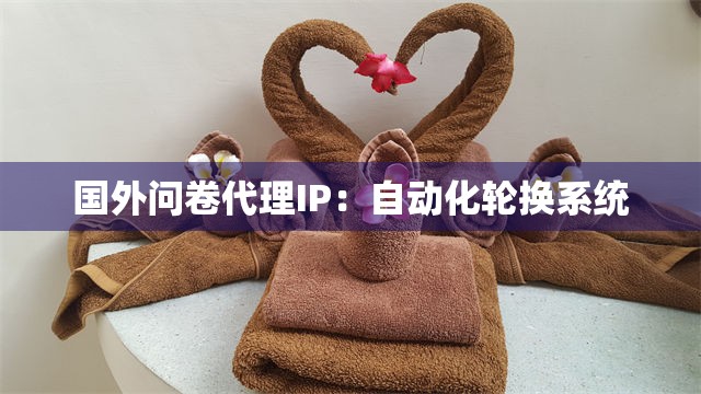 国外问卷代理IP：自动化轮换系统