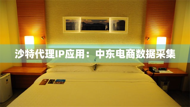 沙特代理IP应用：中东电商数据采集