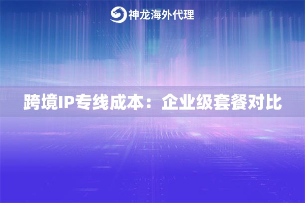 跨境IP专线成本：企业级套餐对比