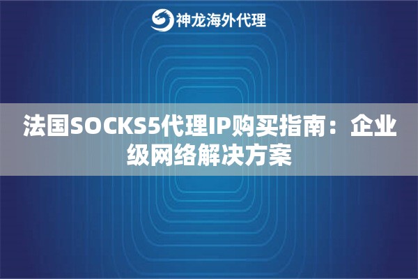 法国SOCKS5代理IP购买指南：企业级网络解决方案