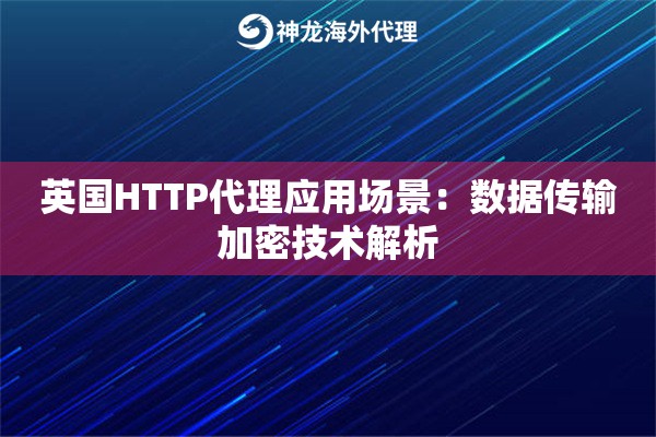 英国HTTP代理应用场景：数据传输加密技术解析