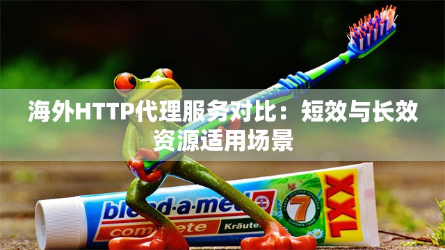 海外HTTP代理服务对比：短效与长效资源适用场景