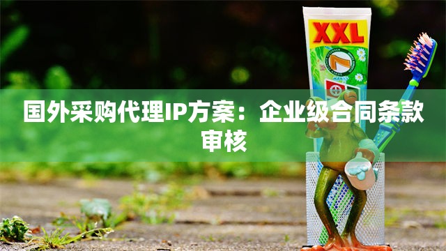 国外采购代理IP方案：企业级合同条款审核
