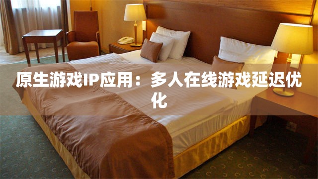 原生游戏IP应用：多人在线游戏延迟优化