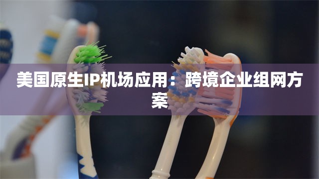 美国原生IP机场应用：跨境企业组网方案