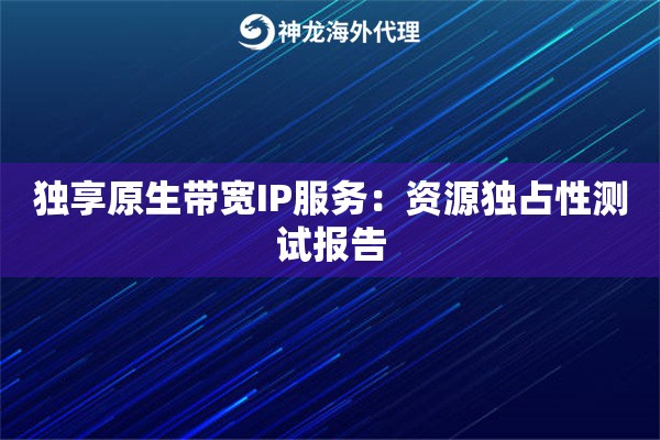 独享原生带宽IP服务：资源独占性测试报告