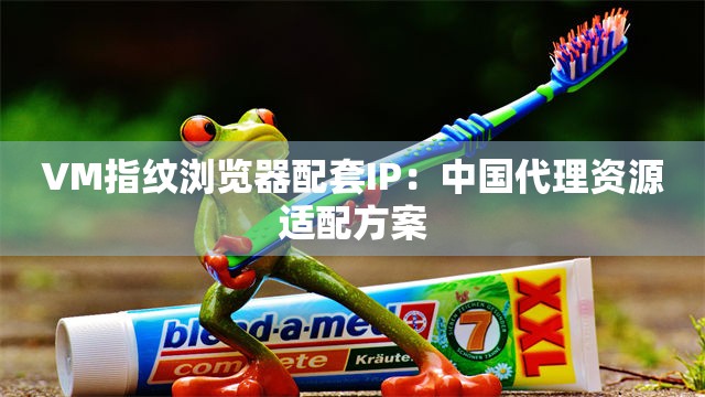 VM指纹浏览器配套IP：中国代理资源适配方案