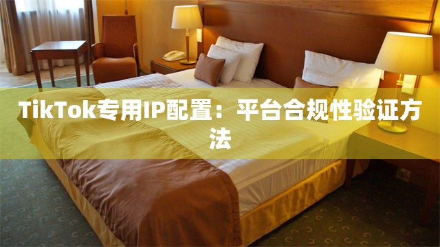 TikTok专用IP配置：平台合规性验证方法