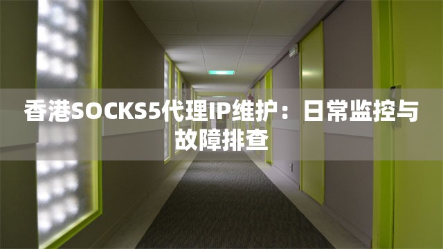 香港SOCKS5代理IP维护：日常监控与故障排查