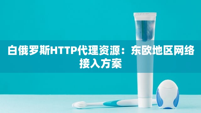 白俄罗斯HTTP代理资源：东欧地区网络接入方案