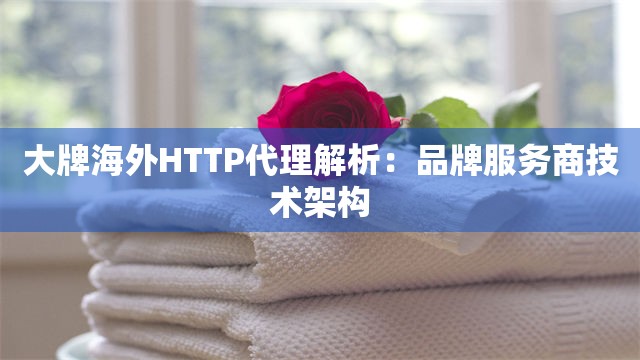大牌海外HTTP代理解析：品牌服务商技术架构