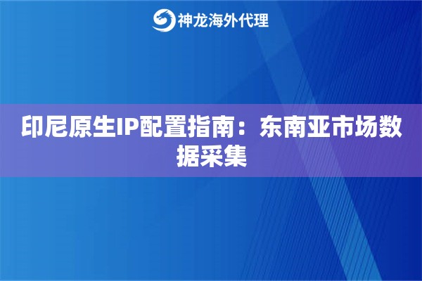 印尼原生IP配置指南：东南亚市场数据采集