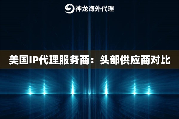美国IP代理服务商：头部供应商对比